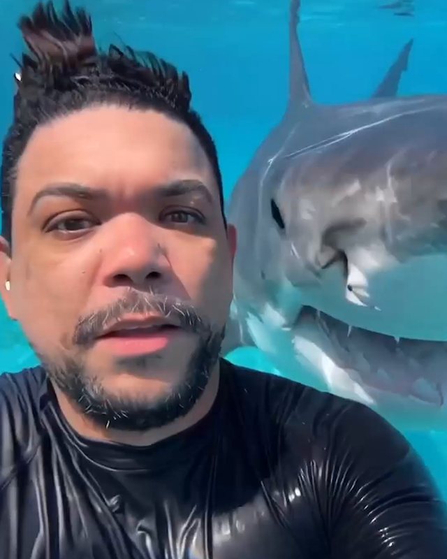 Man taking an underwater selfie with a shark